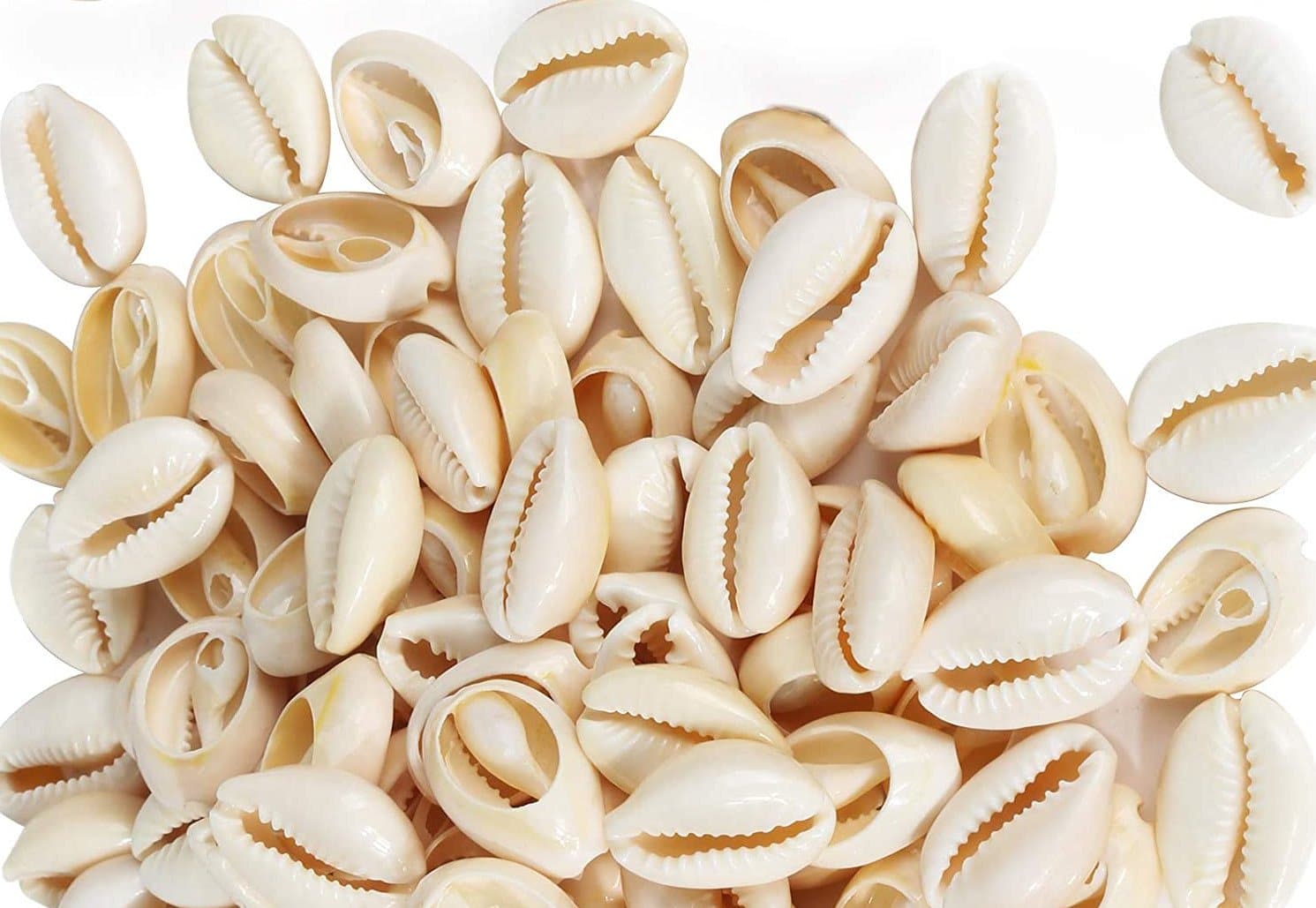 144 Magic Gold Shell Hair Beads - Small Ivory #1380