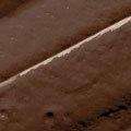 Black Opal True Color Pore Perfecting Liquid Foundation - Black Walnut - Deluxe Beauty Supply