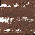 Black Opal True Color Skin Perfecting Stick Foundation SPF 15 - Black Walnut - Deluxe Beauty Supply