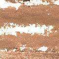Black Opal True Color Skin Perfecting Stick Foundation SPF 15 - Champagne Beige - Deluxe Beauty Supply