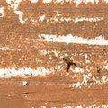 Black Opal True Color Skin Perfecting Stick Foundation SPF 15 - Truly Topaz