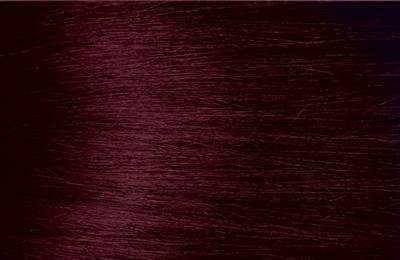 Bigen Semi Permanent Hair Color - BG2 Deep Burgundy - Deluxe Beauty Supply
