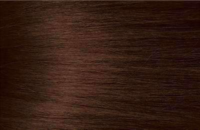 Bigen Semi Permanent Hair Color - C2 Chocolate - Deluxe Beauty Supply