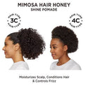 Carol's Daughter Mimosa Hair Honey Travel Size