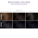 Dark & Lovely Reviving Colors Hair Color - 391 Radiant Black
